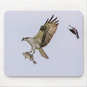 Osprey being chased by a red winged blackbird mouse pad