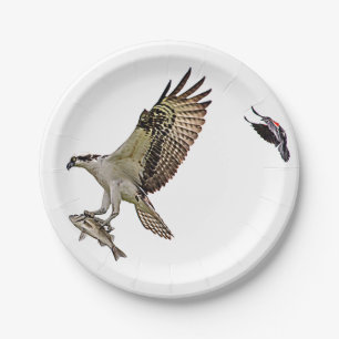 Osprey being chased by a red winged blackbird paper plate