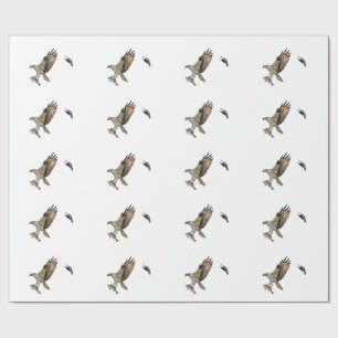 Osprey being chased by a red winged blackbird wrapping paper