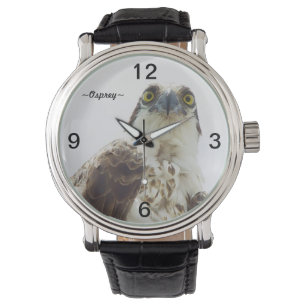 Osprey bird eyes portrait Watch
