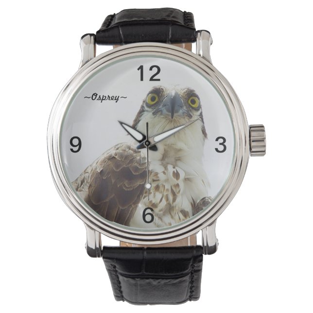 Osprey bird eyes portrait Watch (Front)