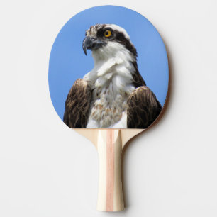 Osprey - Bird - Ping Pong Paddle