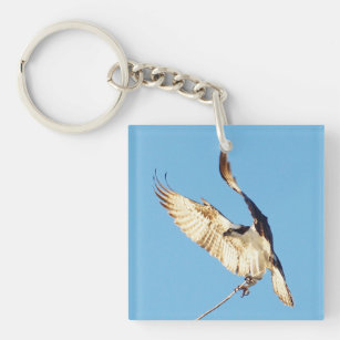 Osprey birds flying Acrylic Keychain