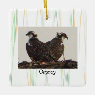 Osprey Birds in Nest Ornament 