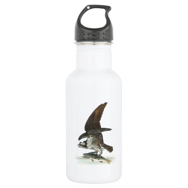 Osprey by Audubon 532 Ml Water Bottle (Front)