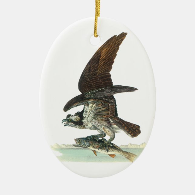 Osprey by Audubon Ceramic Ornament (Front)