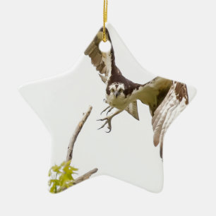 Osprey Coming At You Ceramic Ornament