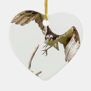 Osprey Coming At You Ceramic Ornament