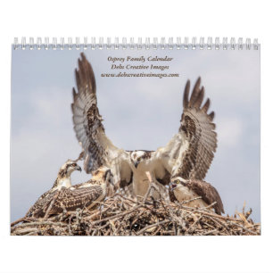 Osprey Family 2026 Calendar