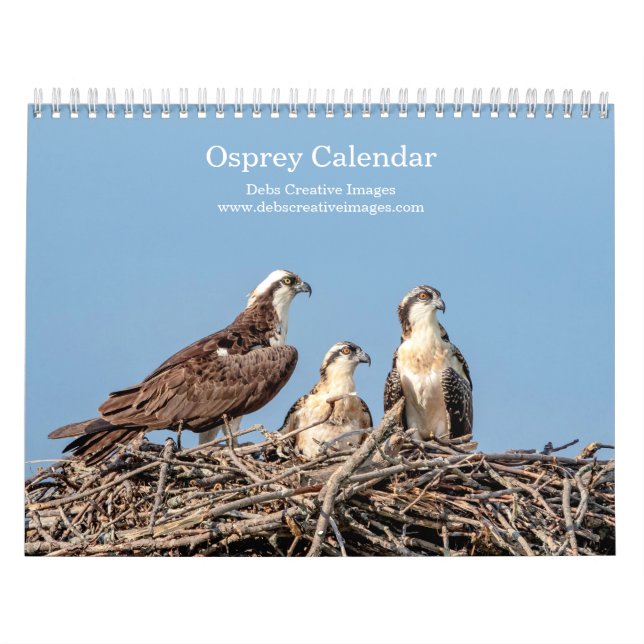 Osprey Family 2026 Calendar (Cover)