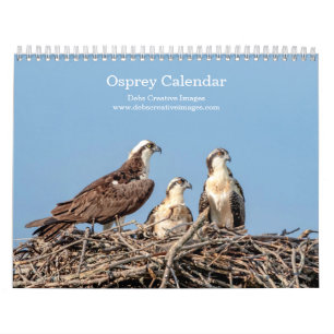 Osprey Family 2026 Calendar