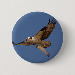 Osprey Fisher 2 Inch Round Button