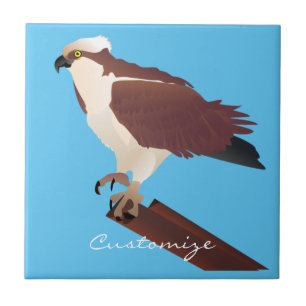 Osprey Hawk Raptor Thunder_Cove Tile