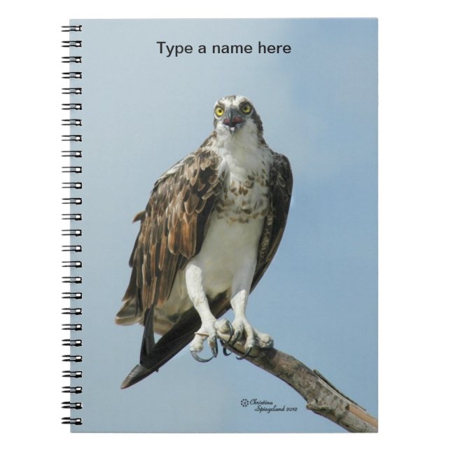Osprey Hawk singing Notebook (Front)