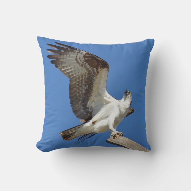Osprey Hawk stretching wings Pillow (Front)