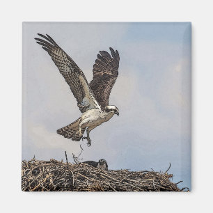 Osprey in a nest magnet