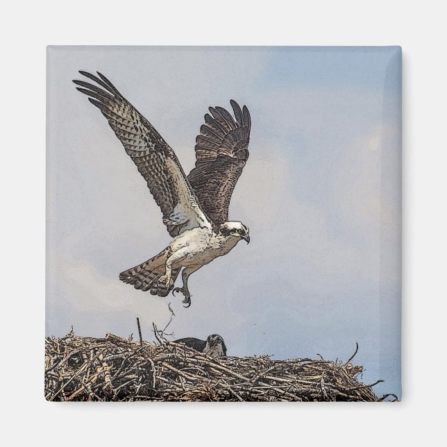 Osprey in a nest magnet (Front)