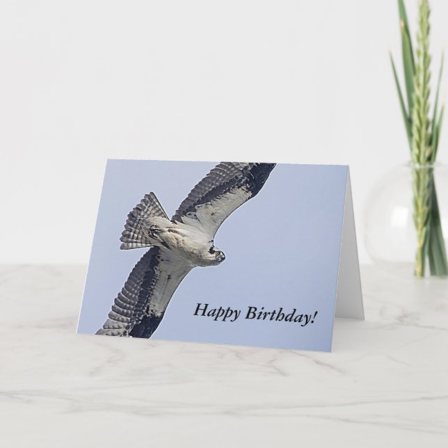Osprey in flight card (Front)