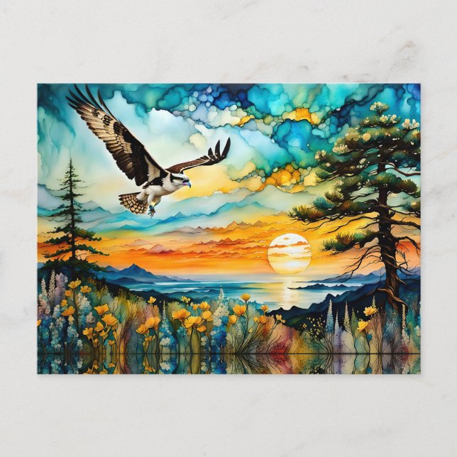 Osprey in flight over wildflowers at Sunset Postcard (Front)