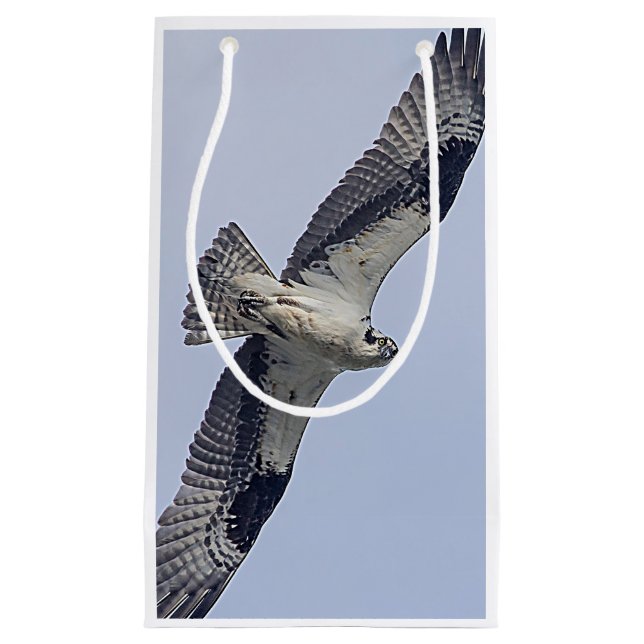 Osprey in flight small gift bag (Front)