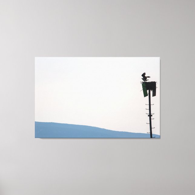 Osprey in Front of Mount Desert Island, Maine Canvas Print (Front)