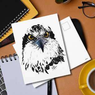 Osprey "King of Birds" Original Art Holiday Postcard