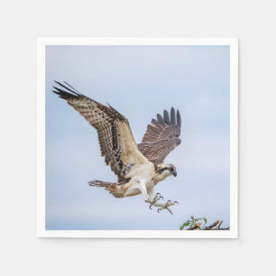 Osprey landing in the nest napkin