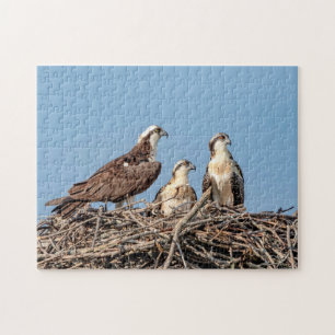 Osprey mom with her kids jigsaw puzzle