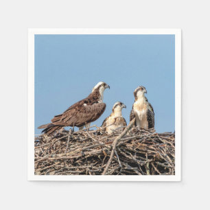 Osprey mom with her kids napkin