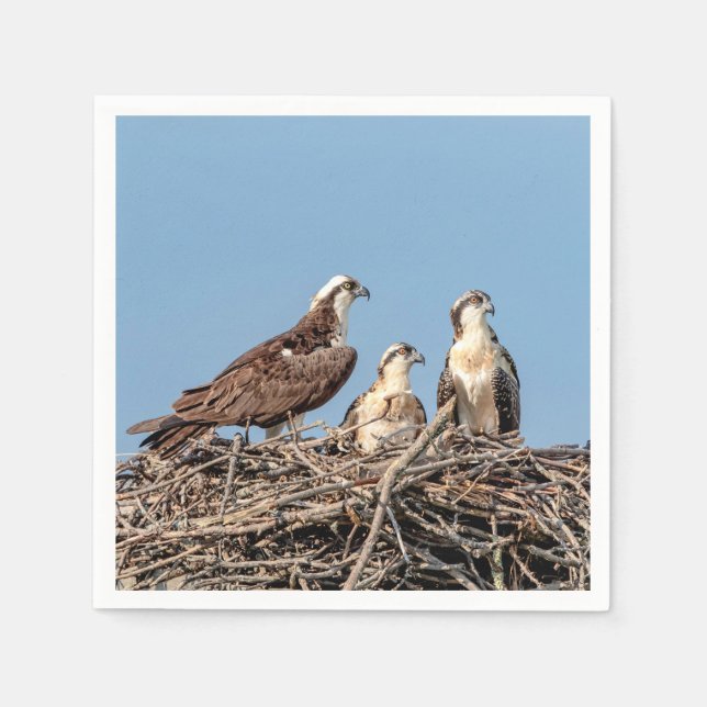 Osprey mom with her kids napkin (Front)