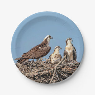 Osprey mom with her kids paper plate