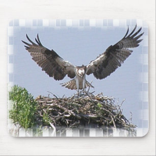 Osprey Nest Mouse Pad