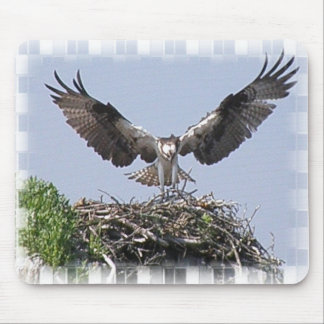 Osprey Nest Mouse Pad
