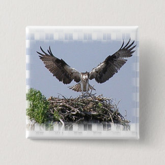 Osprey Nest Pin
