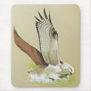 Osprey - Pandion haliaetus Mouse Pad