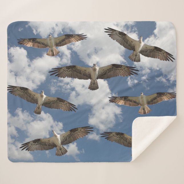 Osprey parade in the sky Sherpa fleece blanket (Front (Horizontal))