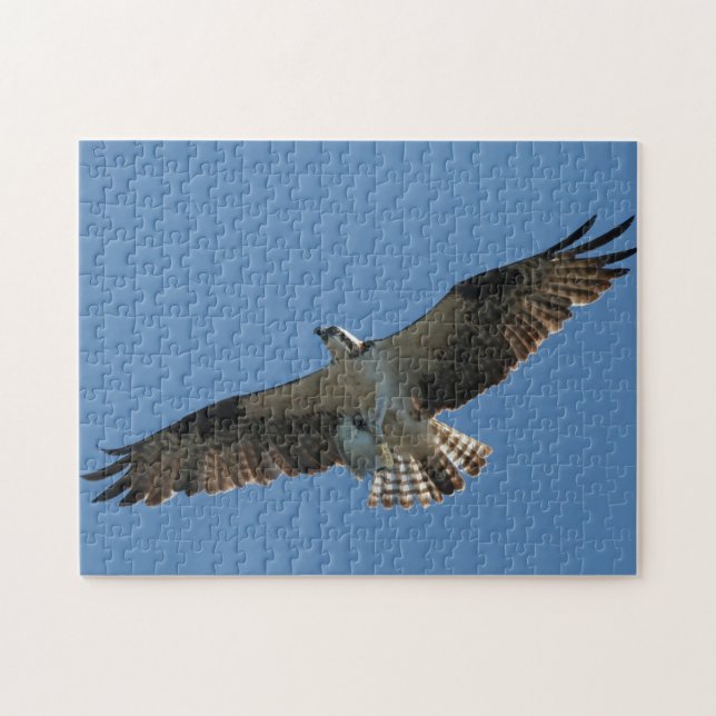 Osprey Raptor Bird Fish Wildlife Animal Sea Puzzle (Horizontal)