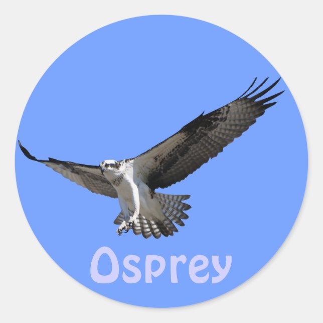 Osprey Raptor Birdlover's Wildlife Sticker (Front)