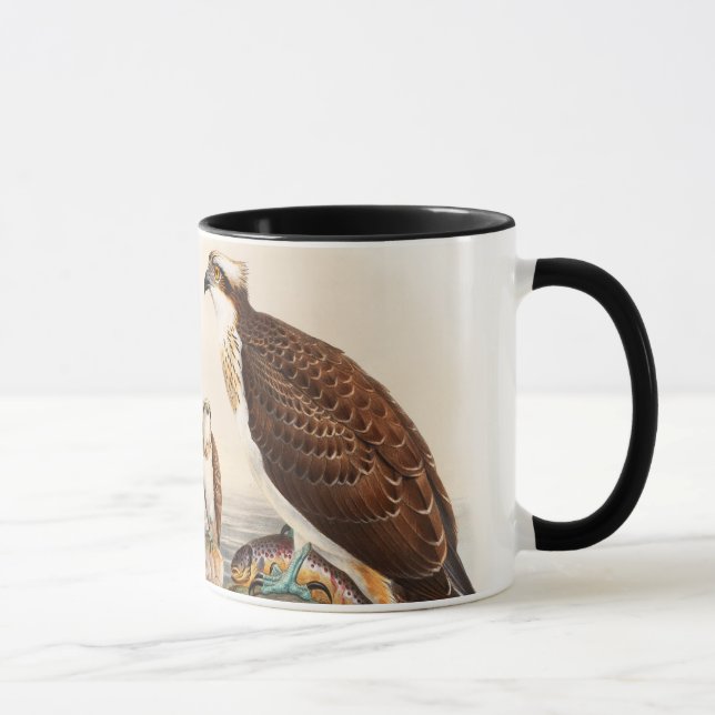 Osprey Sea Hawk John Gould Birds of Great Britain Mug (Right)