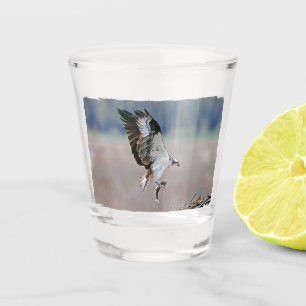 Osprey Shot Glass