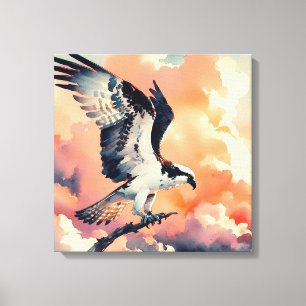 Osprey Stretches Canvas Print
