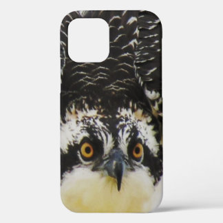 Osprey Up Close - iPhone 12 Coque dur