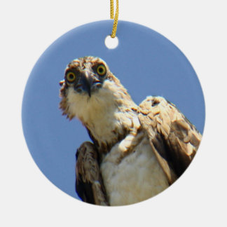 Osprey Watching Ceramic Ornament