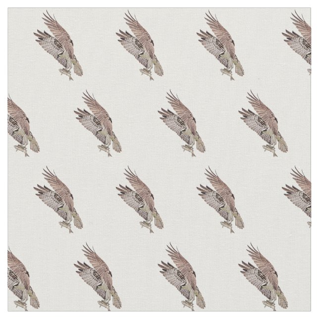 Osprey with a fish fabric (Close Up)