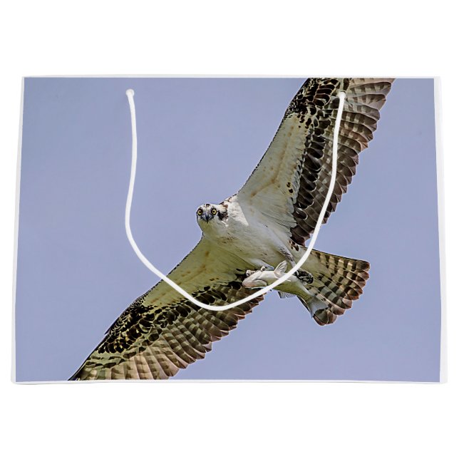 Osprey with a fish large gift bag (Front)