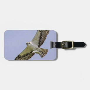 Osprey with a fish luggage tag