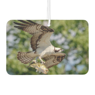 Osprey with a large mouth bass car air freshener