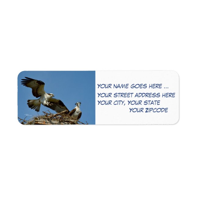 Ospreys Hawks Return Address Labels (Front)