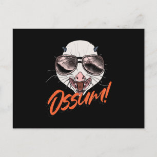 Ossum Possum Opossum Gopher Postcard
