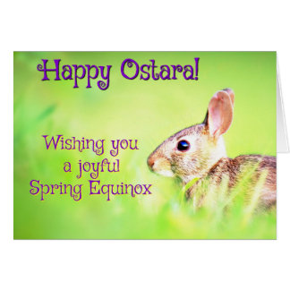 Ostara heureux